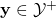 \mathbf{y}\in\mathcal{Y^{+}}